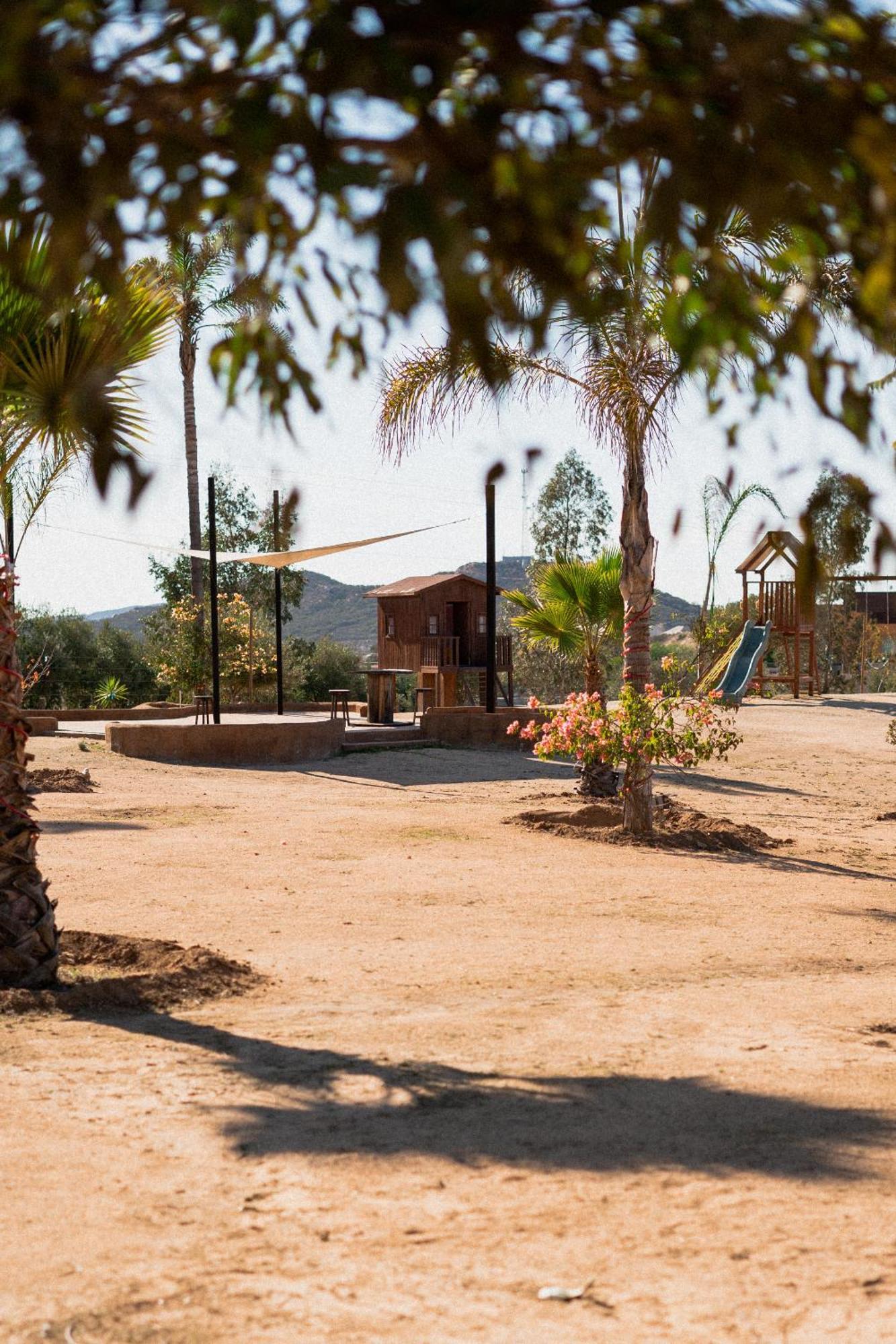 Villa Victoria Valle de Guadalupe Esterno foto