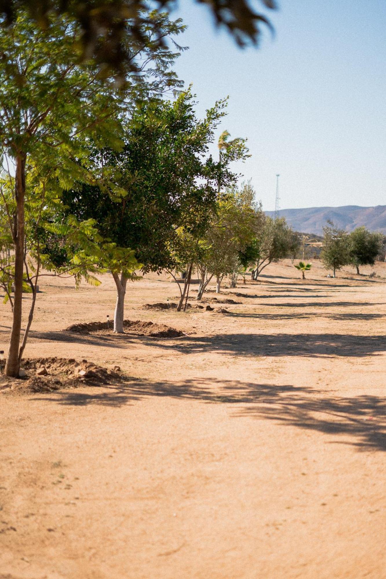 Villa Victoria Valle de Guadalupe Esterno foto