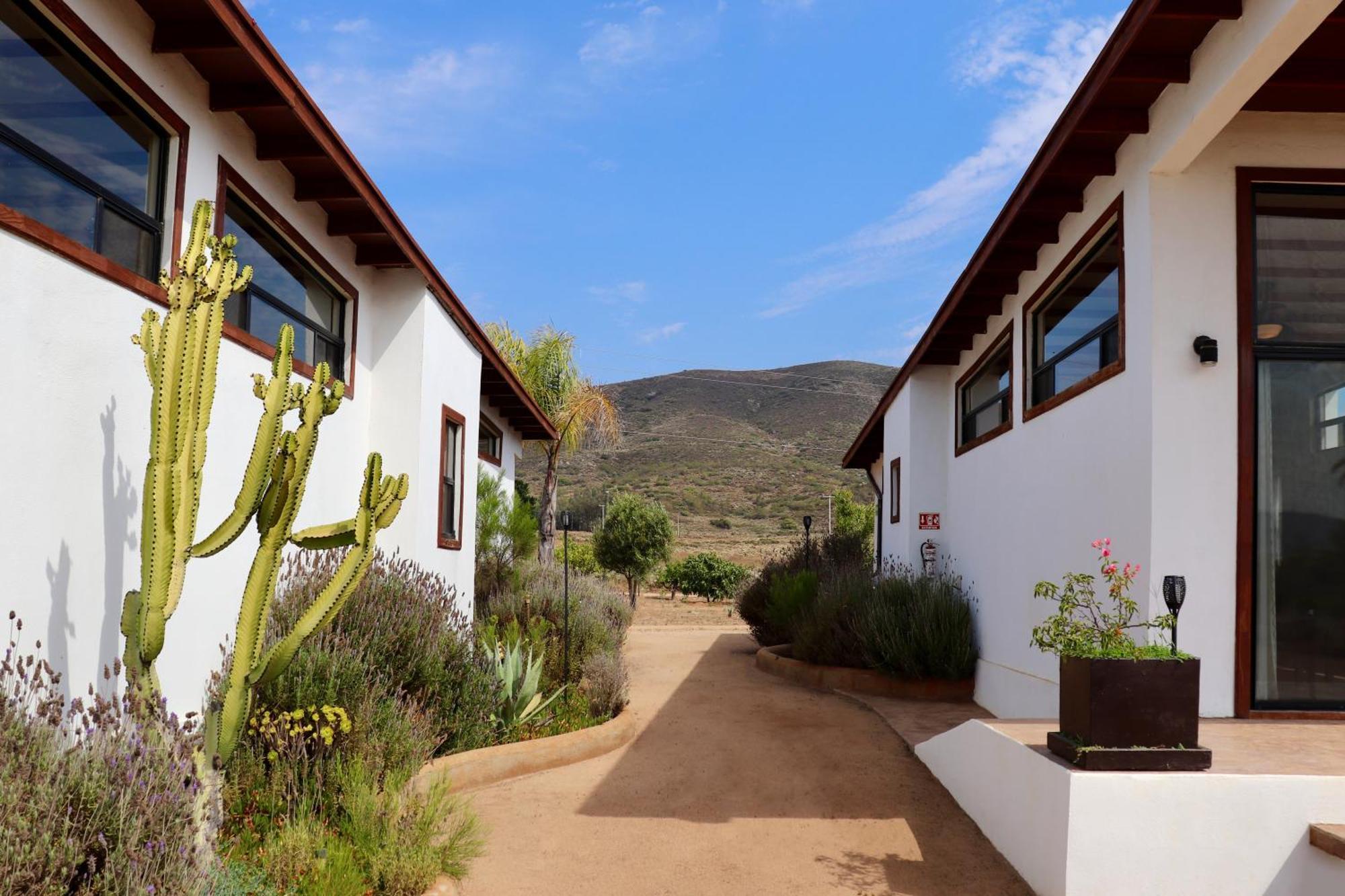 Villa Victoria Valle de Guadalupe Esterno foto
