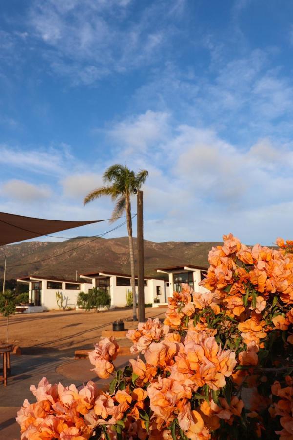 Villa Victoria Valle de Guadalupe Esterno foto